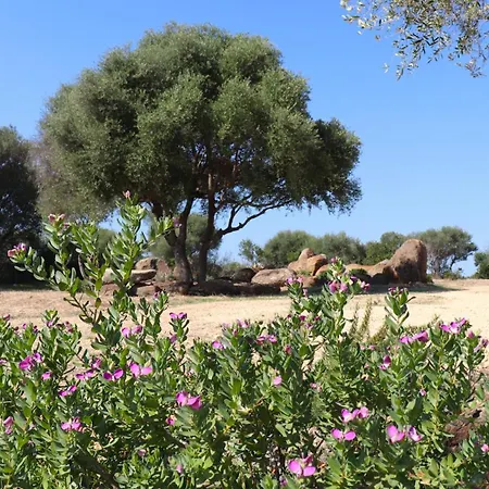 بيت للعطل Country Sant' Elene- Mirto *