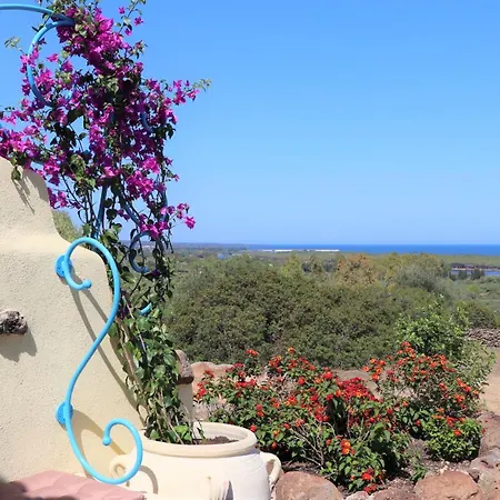 Country Sant' Elene- Mirto Holiday home *