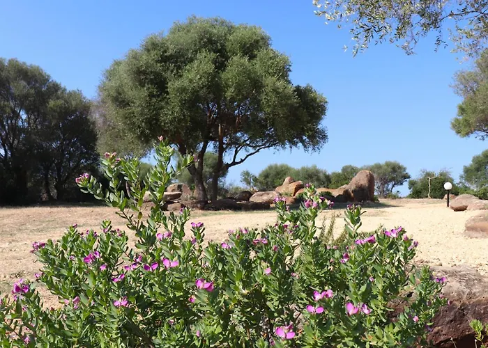 Vakantiehuis Country Sant' Elene- Mirto *